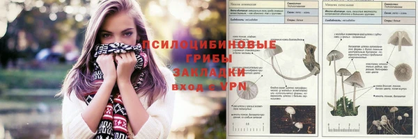 молекула духа Алексин