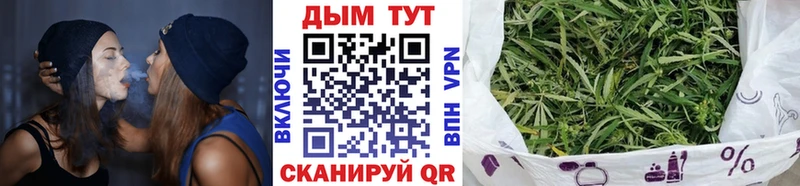 Бошки марихуана SATIVA & INDICA  где купить   Циолковский 